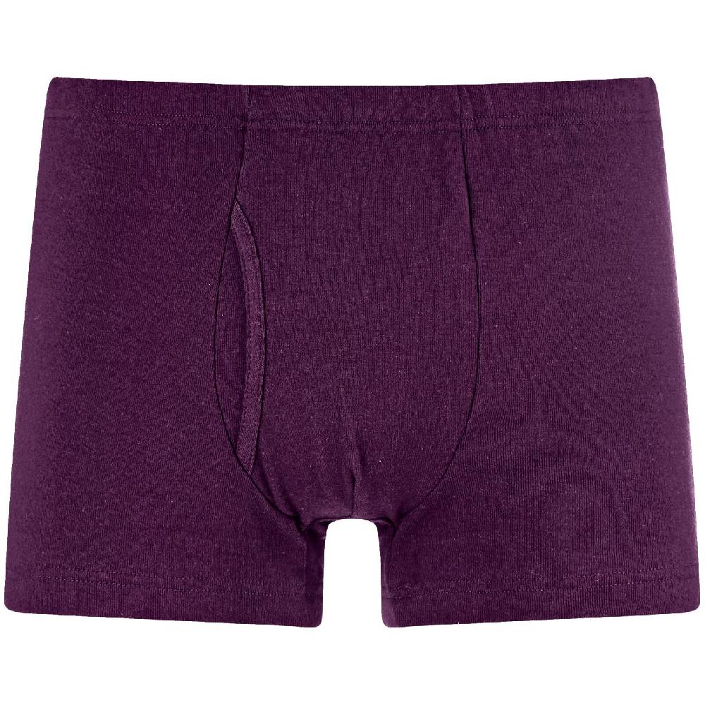 Jan Vanderstorm 5er Pack Retropants GARDAR bunt Vierteljährliche Förderung