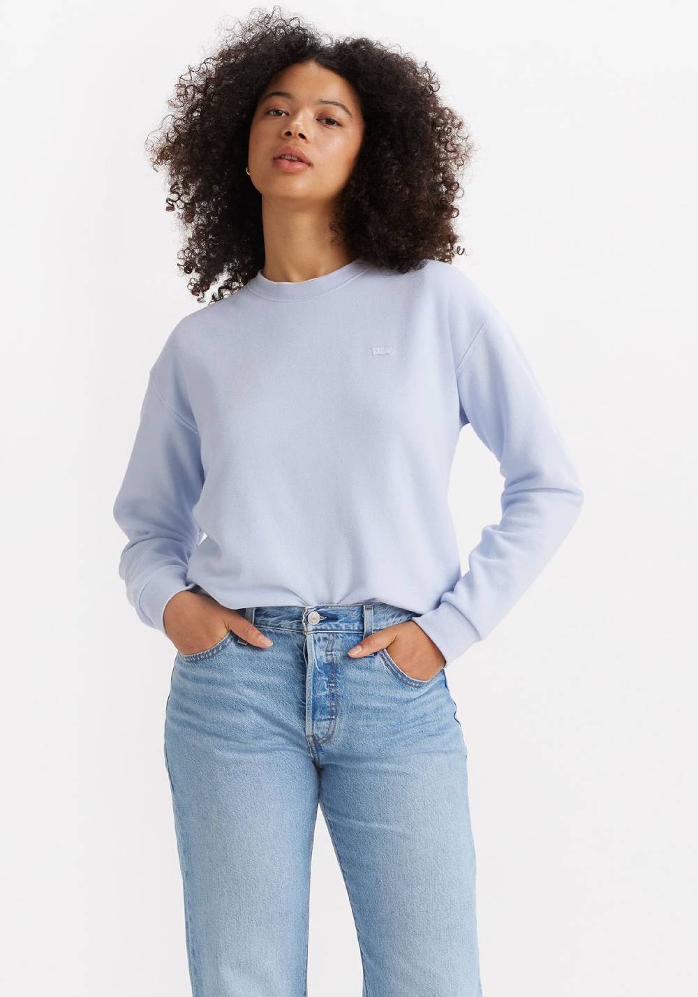 LEVI'S ® Sweatshirt 'Everyday Sweatshirt' in Lavender Große Rabatte