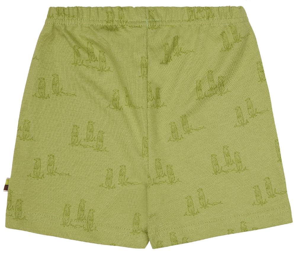 Loud Proud Short Druck Nur für heute