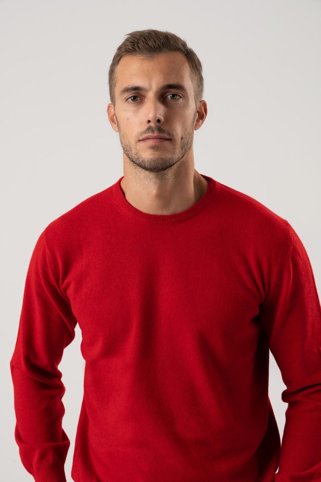 privati firenze Strickwaren Herren Privati Firenze Rundhalsausschnitt Slim Einfarbig 100% Kaschmir Fabrik Onlineshop