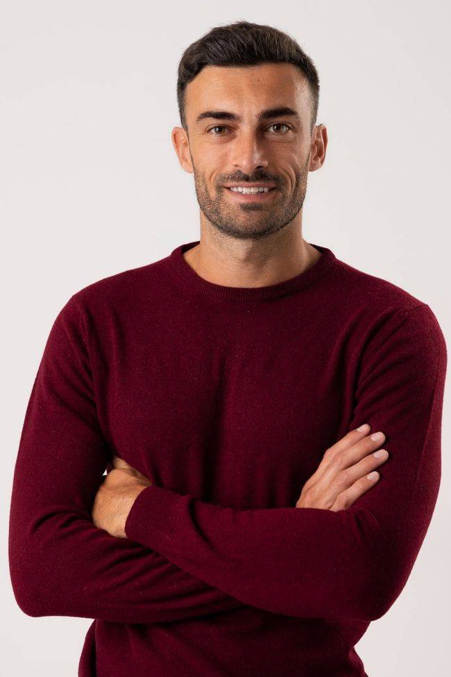 privati firenze Strickwaren Herren Privati Firenze Rundhalsausschnitt Slim Einfarbig 100% Kaschmir Saisonale Angebote