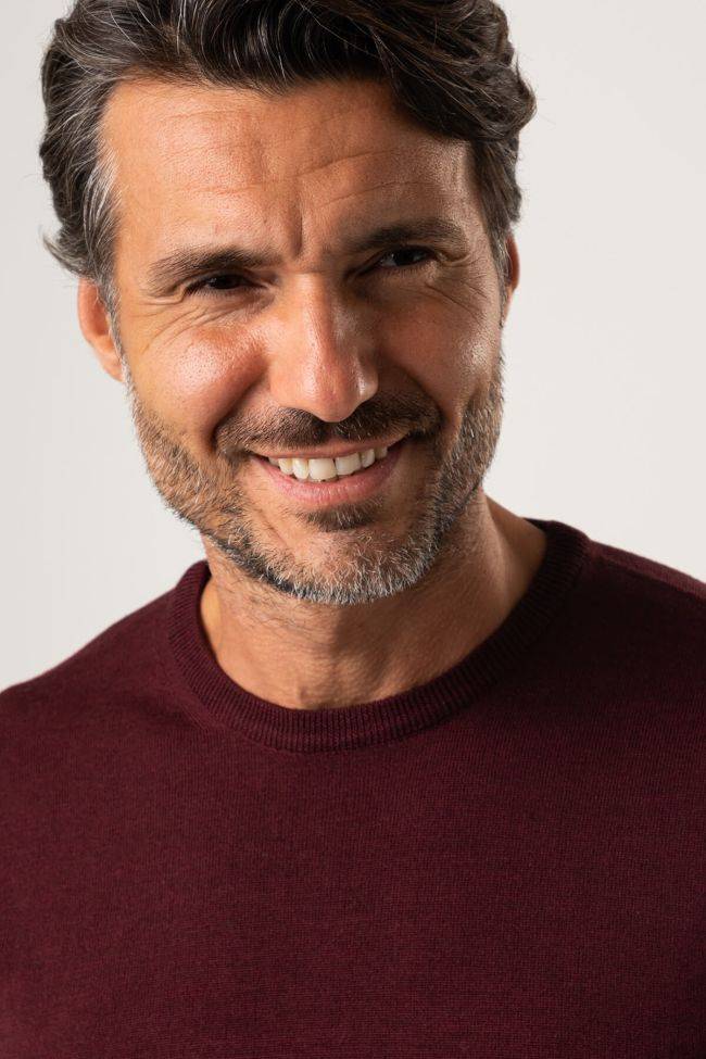 privati firenze Strickwaren Herren Privati Firenze Rundhalsausschnitt Slim Einfarbig 100% Merinowolle Bis zu 55% Rabatt