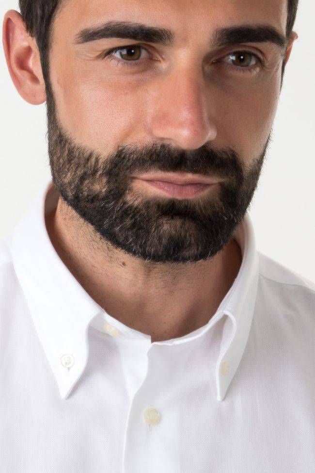 aplomb Hemd Herren Aplomb Classic Einfarbig 100% Baumwolle kragen Button-Down Lange Ärmel Schlussverkauf