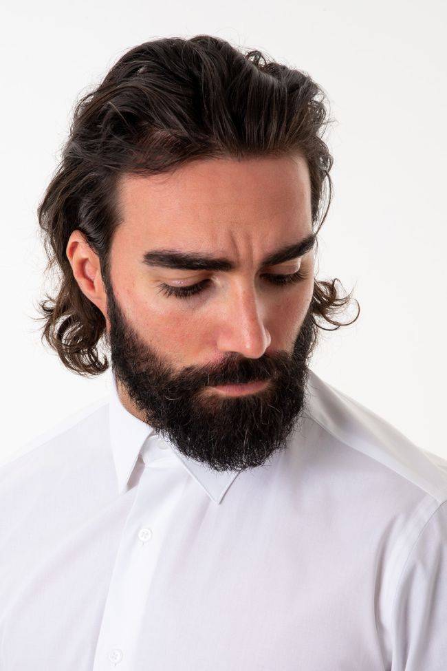 aplomb Hemd Herren Aplomb Slim Einfarbig 97% Baumwolle 3% elastan kragen Italienisch Lange Ärmel Online