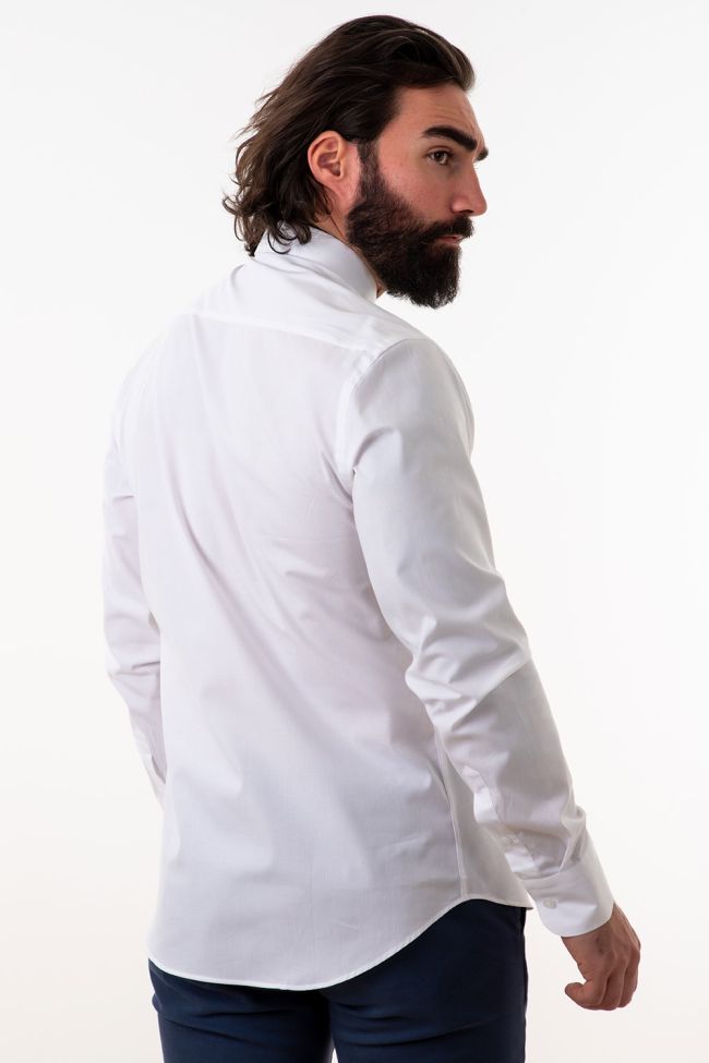 aplomb Hemd Herren Aplomb Slim Einfarbig 97% Baumwolle 3% elastan kragen Italienisch Lange Ärmel Online