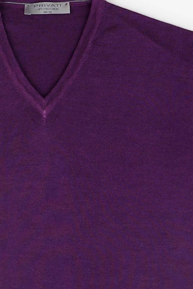 privati firenze Strickwaren Herren Privati Firenze V-Ausschnitt Regular Einfarbig 100% Merinowolle Neueste Stile