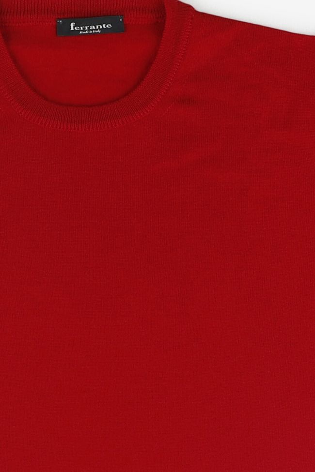 ferrante Strickwaren Herren Ferrante Rundhalsausschnitt Regular Einfarbig 100% Merinowolle Extrafine Günstig kaufen