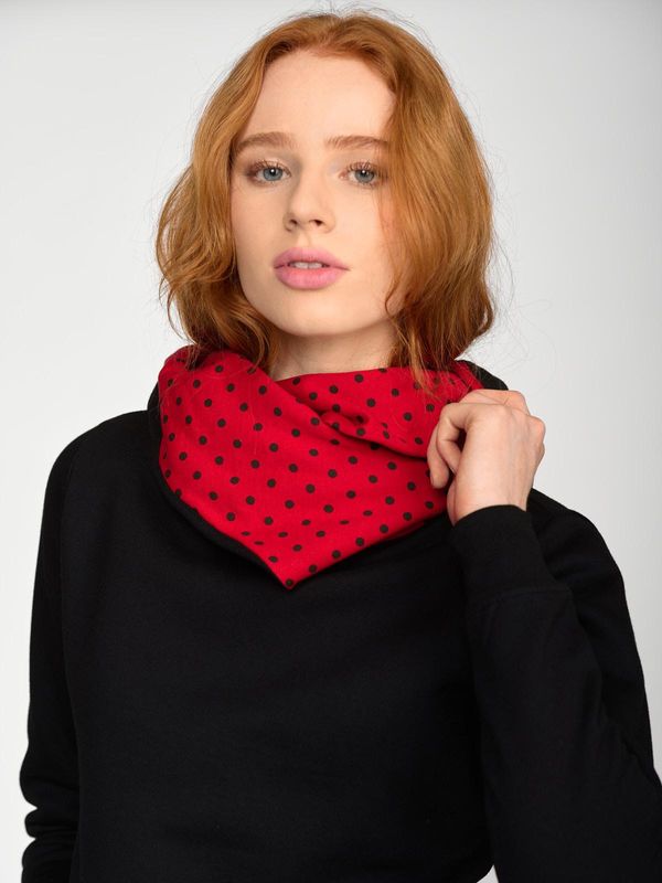 Nastrovje Potsdam Pussy Deluxe Black Dotties On Red Hoodie Damen Schalkragenpullover schwarz/allover Exklusivangebot