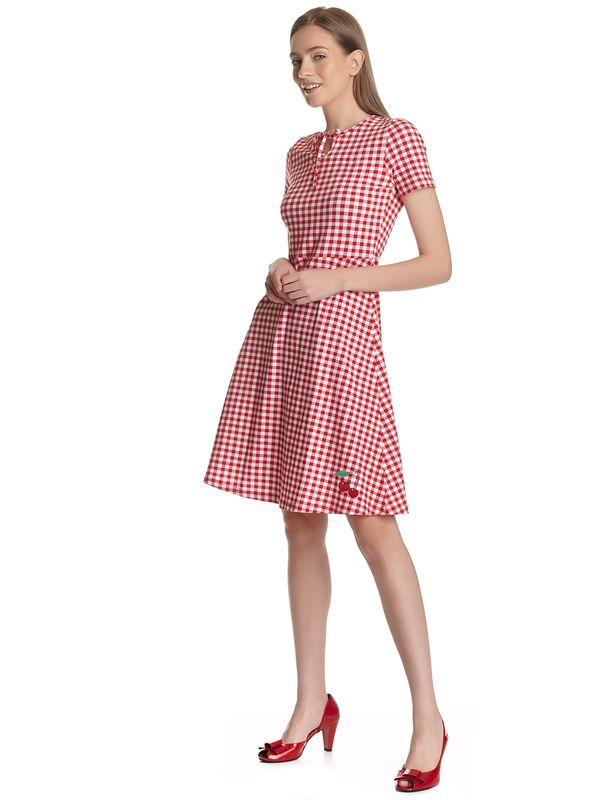 Nastrovje Potsdam Pussy Deluxe Back to 1955 Red Plaid Damen A-Linien-Kleid rot allover Top Angebot
