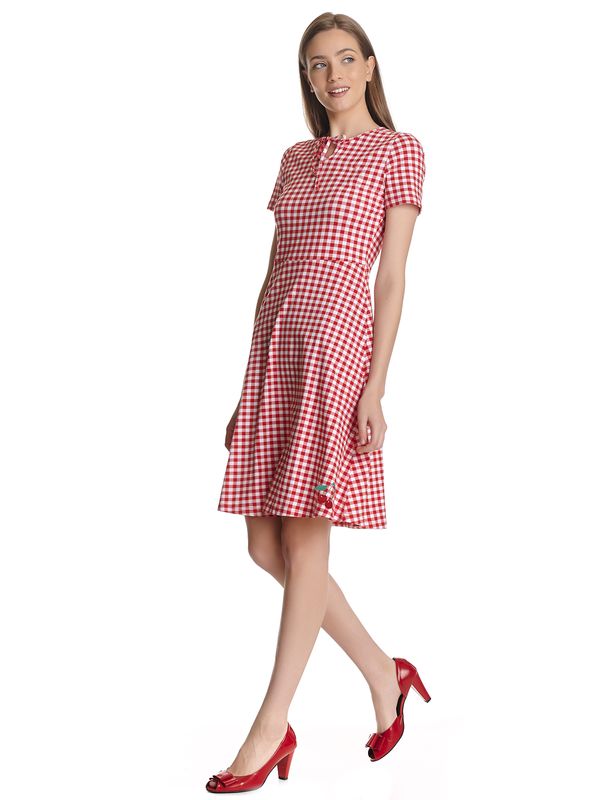 Nastrovje Potsdam Pussy Deluxe Back to 1955 Red Plaid Damen A-Linien-Kleid rot allover Top Angebot