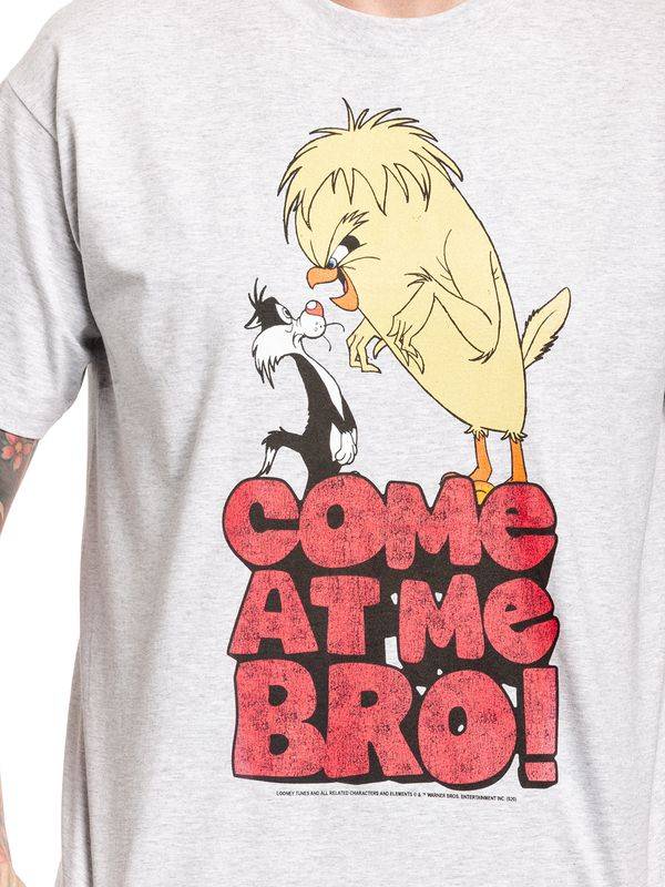 Nastrovje Potsdam Looney Tunes Come At Me Bro Herren T-Shirt grau meliert Saisonschlussverkauf